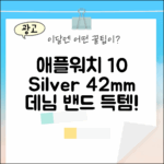 애플워치 10 GPS 실버 42mm: 데님 밴드 득템!