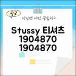 믿기지 않아! 베이직 스투시 티셔츠 1904870