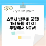 스투시 밴쿠버 반팔 1티셔츠 득템 3가지 꿀팁