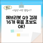 에브리봇 Q9 전용 걸레 16개, 초보도 쉽게!