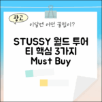 STUSSY 월드 투어 티 3가지 핵심 포인트