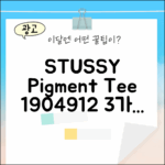 스투시 돌리 피그먼트 티셔츠 1904912: 3가지 매력