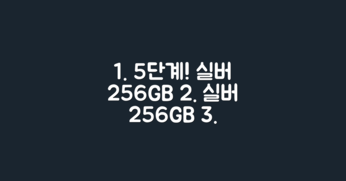 5단계로 알아보는 실버 256GB
