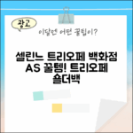셀린느 트리오페 숄더백, 백화점 AS 가능한 꿀템!