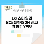 LG 스타일러 SC5GMR82H 블랙틴트미러, 진짜 효과 있을까?